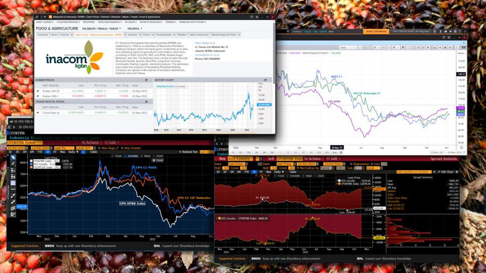 Indonesia's KPBN Seeks to Take Part in Making Global CPO Price